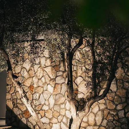 Octo Complex Nea Iraklitsa