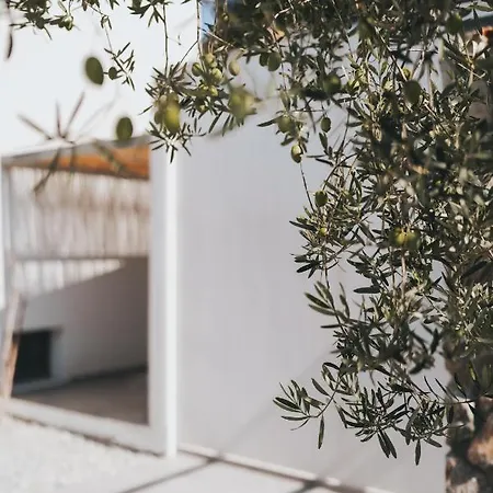 Octo Complex * Nea Iraklitsa